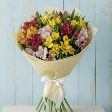 Букет цветов из:  Альстромерии #REPLACE_PRED# Борское