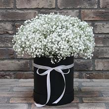 Цветочная композиция из Гипсофила в шляпной коробке #REPLACE_PRED# Борское
