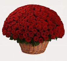 Премиум букет из: Розы #REPLACE_PRED# Борское